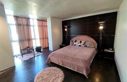 Apartament deosebit cu 2 camere, zona Petre Ispirescu