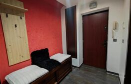 Apartament deosebit cu 2 camere, zona Petre Ispirescu