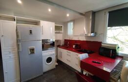 Apartament deosebit cu 2 camere, zona Petre Ispirescu