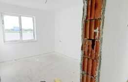 Casa P+E, 142 mp utili și 400 mp teren, cu gaze, Damila (se accepta schimb)