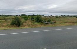 Teren intravilan, 9289 mp pretabil investitie, la Centura Nord, zona Mineralport
