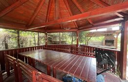 Casa P+M, 4 dormitoare, 216 mp utili,  1500 mp teren, zona Carcea Stadion