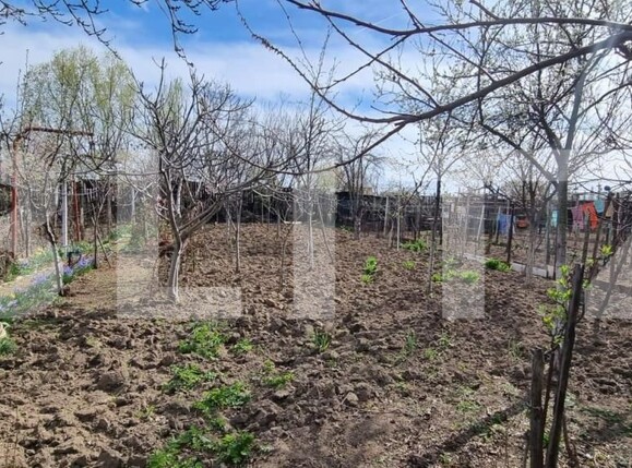 Casa de vânzare 5 camere Bariera Valcii - 140805CV | BLITZ Craiova | Poza3