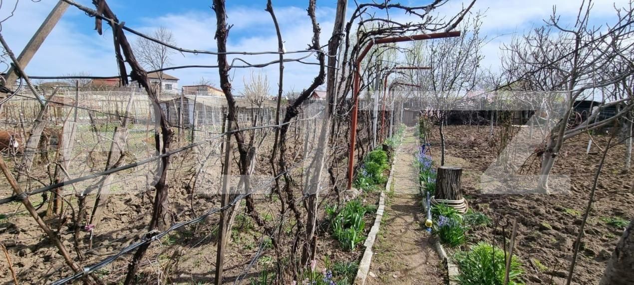 Casa de vânzare 5 camere Bariera Valcii - 140805CV | BLITZ Craiova | Poza4