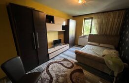 Garsonieră spațioasă de 33mp, la cheie, în cartier Valea Roșie - zona Lidl