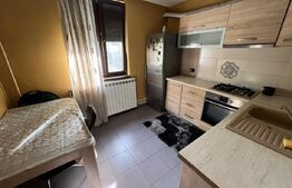 Garsonieră spațioasă de 33mp, la cheie, în cartier Valea Roșie - zona Lidl