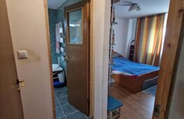 Apartament 3 camere Brazda zona Inspectoratului de Poliție,Spiru Haret