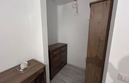 Apartament 3 camere Decebal Rezidence