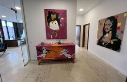 Penthouse 180 mp pentru spatiu birouri, Calea Severinului