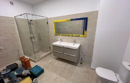 Penthouse 180 mp pentru spatiu birouri, Calea Severinului