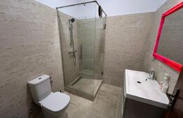 Penthouse 180 mp pentru spatiu birouri, Calea Severinului