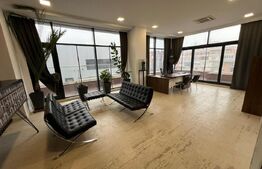 Penthouse 180 mp pentru spatiu birouri, Calea Severinului