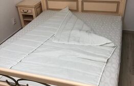 Apartament cu 2 camere, bloc nou, Calea Severinului