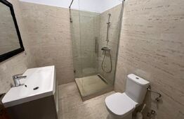 Penthouse, 180 mp, terasa 60 mp,Calea Severinului