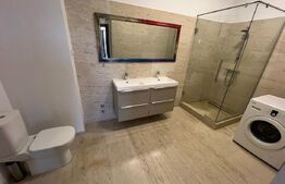 Penthouse, 180 mp, terasa 60 mp,Calea Severinului