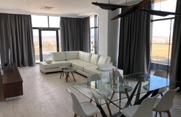 Penthouse, 180 mp, terasa 60 mp,Calea Severinului