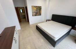 Penthouse, 180 mp, terasa 60 mp,Calea Severinului