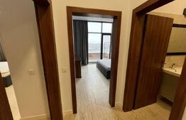 Penthouse, 180 mp, terasa 60 mp,Calea Severinului