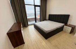 Penthouse, 180 mp, terasa 60 mp,Calea Severinului