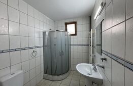 Casă S + P + M de 153 mp utili, cu 225 mp teren, în spatele parcului Romanescu