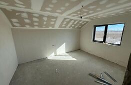 Casa P+1, 218 mp utili, 500 mp teren, toate utilitatile, Braniste 