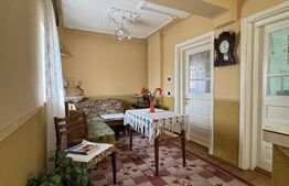 Casa individuala P+ 1E, 230 mpu, teren 382 mp, Brestei, mall Promenada