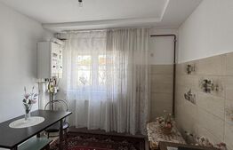 Casa individuala P+ 1E, 230 mpu, teren 382 mp, Brestei, mall Promenada