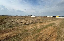 Teren intravilan, 4000 mp, zona Carcea/Metro