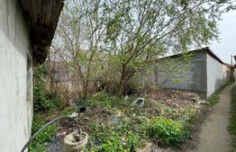 Construcție renovabilă/demolabilă 19 mp, teren 100 mp, Prelungirea Brestei