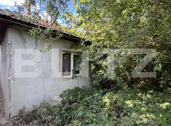 Casa de vânzare 1 camera Brestei - 141362CV | BLITZ Craiova | Poza4