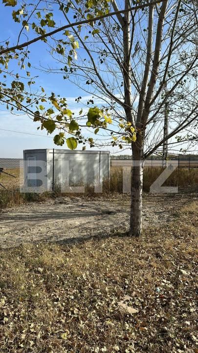 Spațiu industrial de vânzare Est - 141364SVI | BLITZ Craiova | Poza5