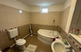 Casa P+1, 153 mp utili, 460 mp teren, zona Albesti