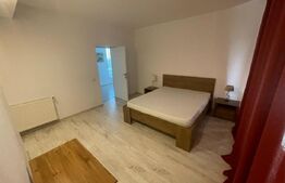 Casa P+2, 480 mpu, 500 mp teren, Piscina, zona Ford 