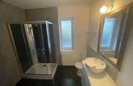 Casa P+2, 480 mpu, 500 mp teren, Piscina, zona Ford 