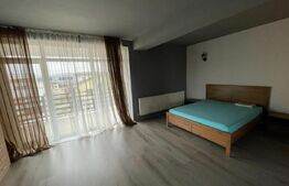 Casa P+2, 480 mpu, 500 mp teren, Piscina, zona Ford 