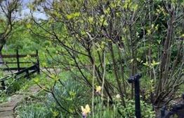 Casa țăraneasca cu 3336 mp teren aproape de Craiova