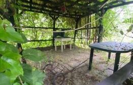 Casa țăraneasca cu 3336 mp teren aproape de Craiova