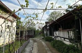 Casa țăraneasca cu 3336 mp teren aproape de Craiova