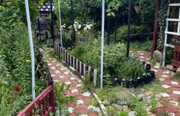 Casa țăraneasca cu 3336 mp teren aproape de Craiova