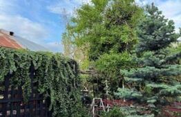 Casa țăraneasca cu 3336 mp teren aproape de Craiova