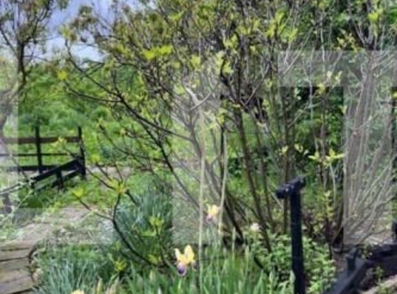 Casa de vânzare 4 camere Exterior Sud - 141844CV | BLITZ Craiova | Poza6