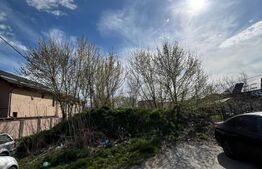 Teren intravilan, 4147 mp, zona Brestei, pretabil dezvoltator constructie case