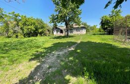 Teren intravilan 2300 mp, Cosoveni