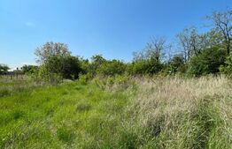 Teren intravilan 2300 mp, Cosoveni