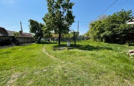 Teren intravilan 2300 mp, Cosoveni