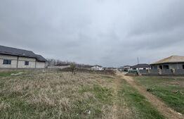 Teren intravilan, 800 mp, Malu Mare zona Scolii 