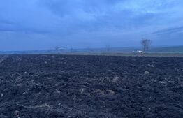 Oportunitate investiție, teren 10000 mp, toate utilitățile