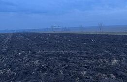 Oportunitate investiție, teren 10000 mp, toate utilitățile