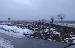 Teren intravilan Mischii, stradal 17000 mp, toate utilitățile