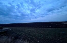 Oportunitate investiție, teren 5000 mp, toate utilitățile